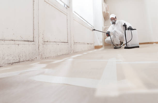 24/7 Emergency Mold Remediation experts in Brunswick, NC